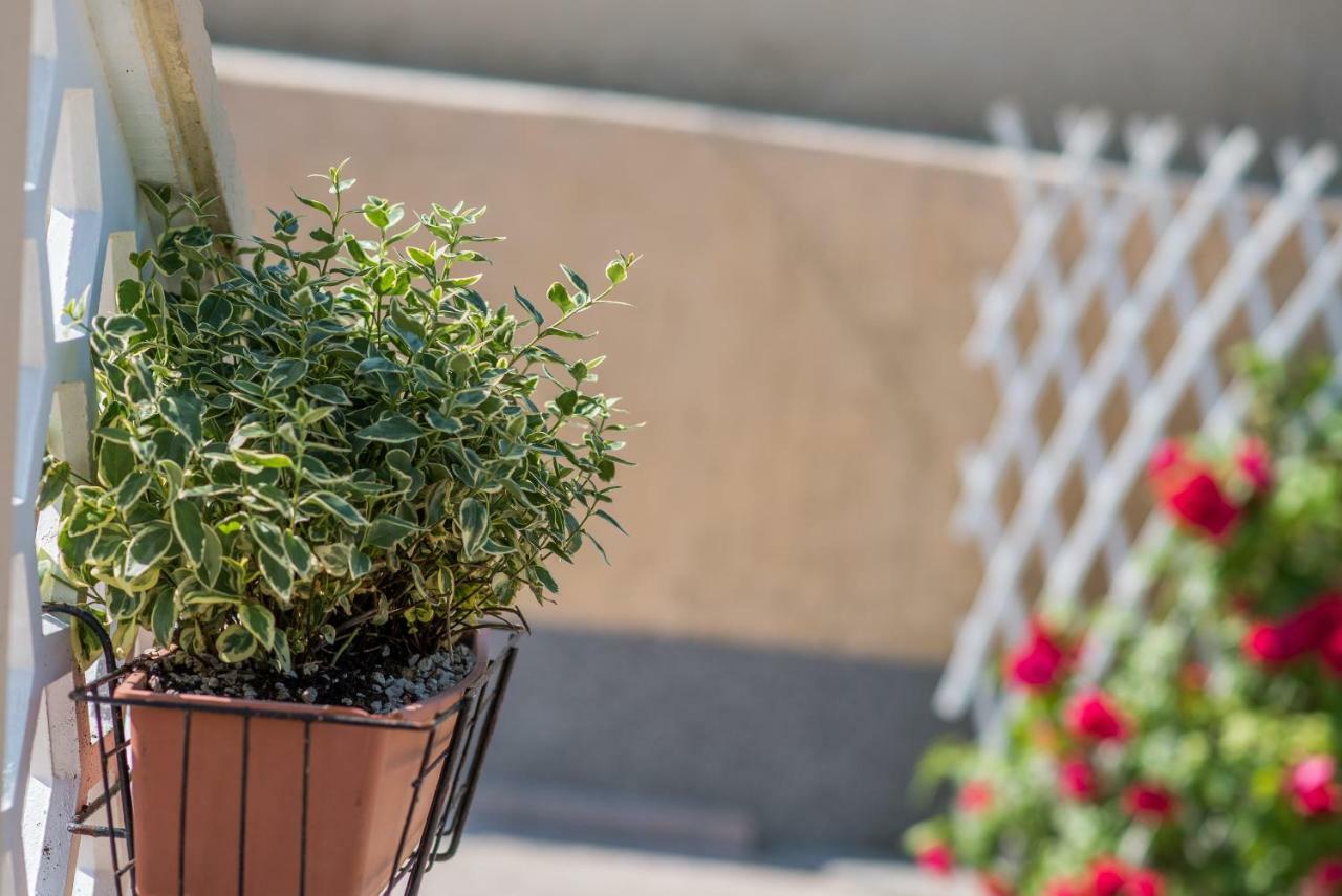 Apartmani Marija Malinska Luaran gambar